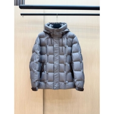 Zegna Down Jackets